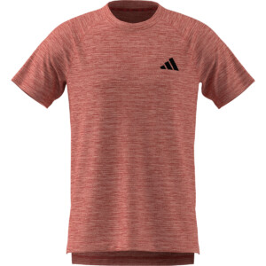 adidas Herren Gym+ T-Shirt