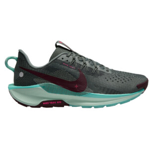 Nike Herren Pegasus Trail 5 Schuhe