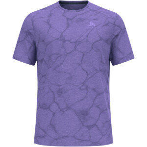 Odlo Herren Zeroweight Engineered Chill-Tec T-Shirt