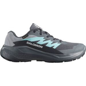 Salomon Damen Alphaglide GTX Schuhe