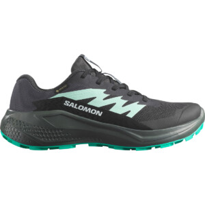 Salomon Damen Alphaglide GTX Schuhe