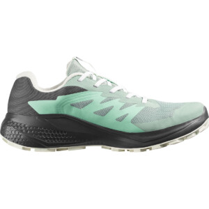 Salomon Damen Alphaglide GTX Schuhe