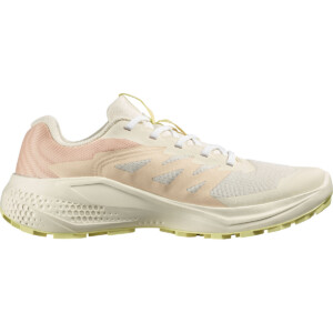 Salomon Damen Alphaglide Schuhe