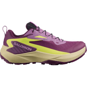 Salomon Damen Genesis GTX Schuhe