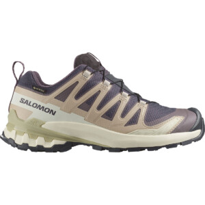 Salomon Damen Xa Pro 3D V9 GTX Schuhe