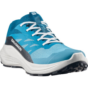 Salomon Herren Alphaglide Schuhe