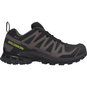 Salomon Herren Xa Pro 3D V9 GTX Schuhe
