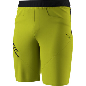 Dynafit Herren Traverse Hybrid Shorts