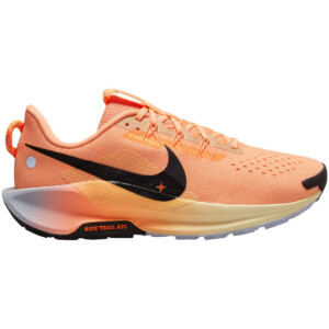 Nike Herren Pegasus Trail 5 Schuhe
