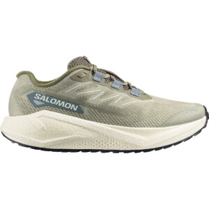 Salomon Herren Aero Blaze 3 GRVL Schuhe