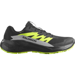 Salomon Herren Alphaglide GTX Schuhe