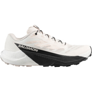 Salomon Herren Pulsar Schuhe