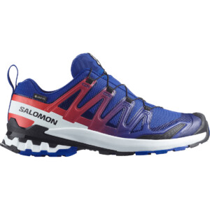 Salomon XA Pro 3D V9 GTX Equipe Schuhe