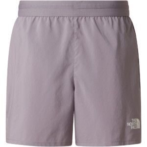 The North Face Herren Lightbright 5in Shorts