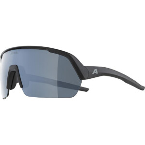 Alpina Turbo HR Sportbrille