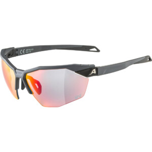 Alpina Twist Six HR QV 1-3 Sportbrille