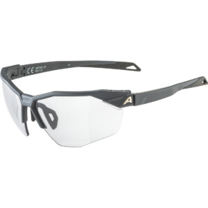 Alpina Twist Six HR V 1-3 Sportbrille