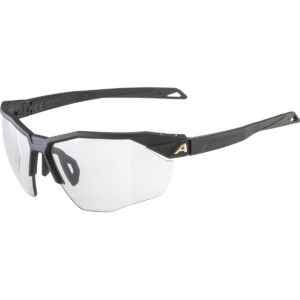 Alpina Twist Six HR V 1-3 Sportbrille