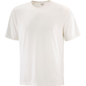 Salomon Herren SHKout Core T-Shirt