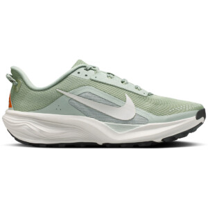 Nike ACG Herren Pegasus Trail Schuhe