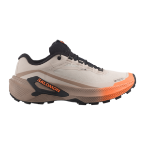 Salomon GENESIS 2 GTX Trailschuhe Damen Rainy Day/Desert Tan/Nectarine 38