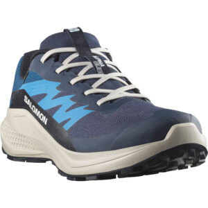 Salomon Herren Alphaglide GTX Schuhe