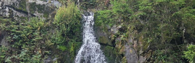 1. Wildman Harz