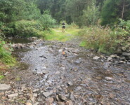 1. Wildman Harz