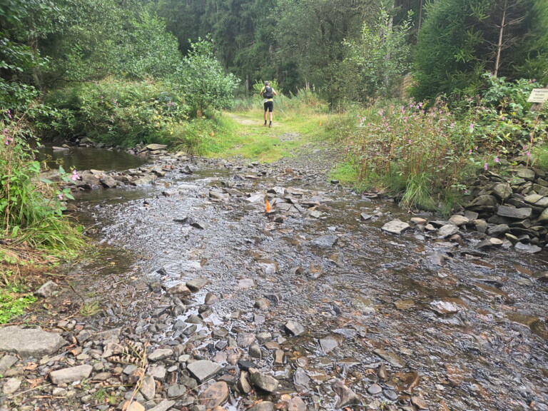 1. Wildman Harz