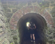 1. Wildman Harz