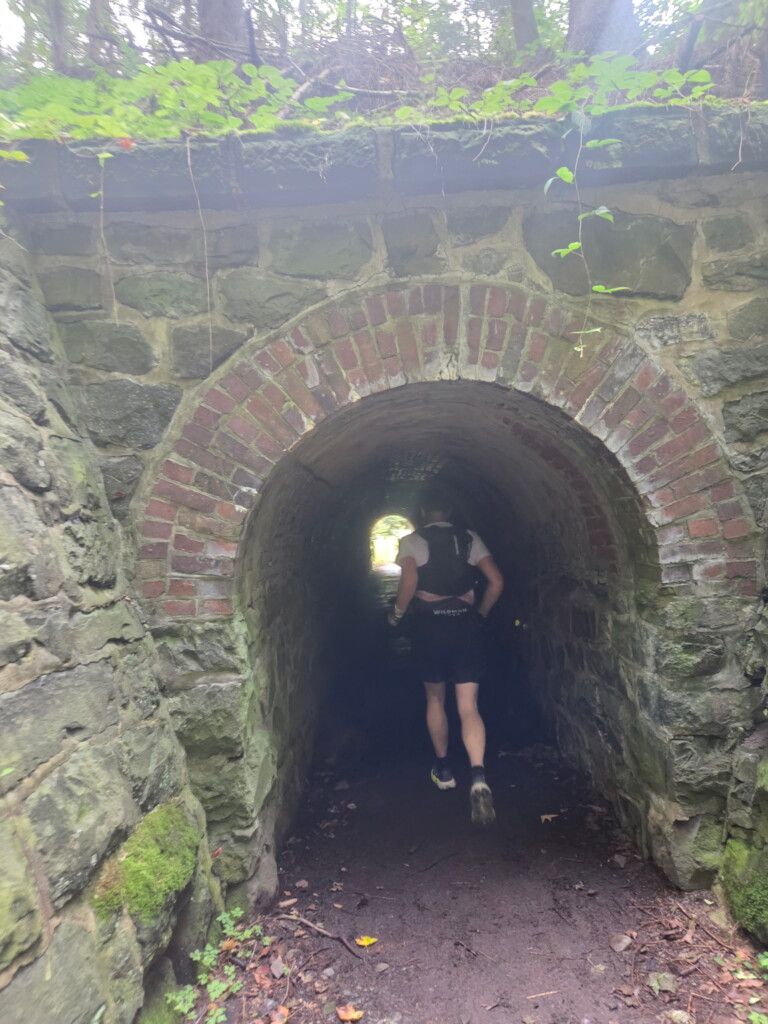 1. Wildman Harz