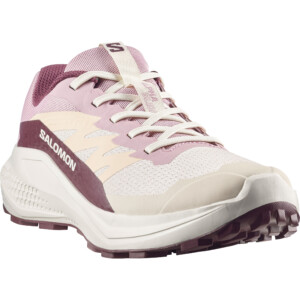 Salomon Damen Alphaglide Schuhe