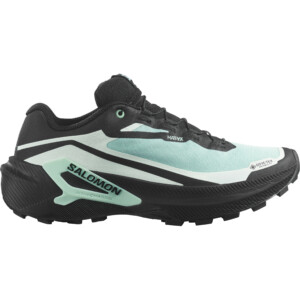 Salomon Damen Genesis 2 GTX Schuhe