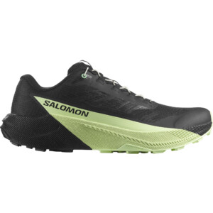 Salomon Herren Pulsar Schuhe