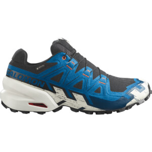 Salomon Herren Speedcross 6 GTX Schuhe
