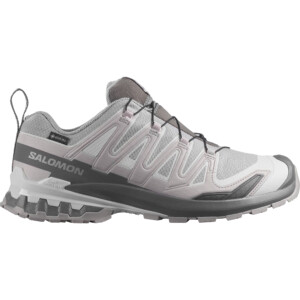 Salomon Herren XA Pro 3D V9 GTX Schuhe