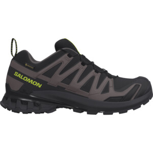 Salomon Herren XA Pro 3D V9 GTX Schuhe